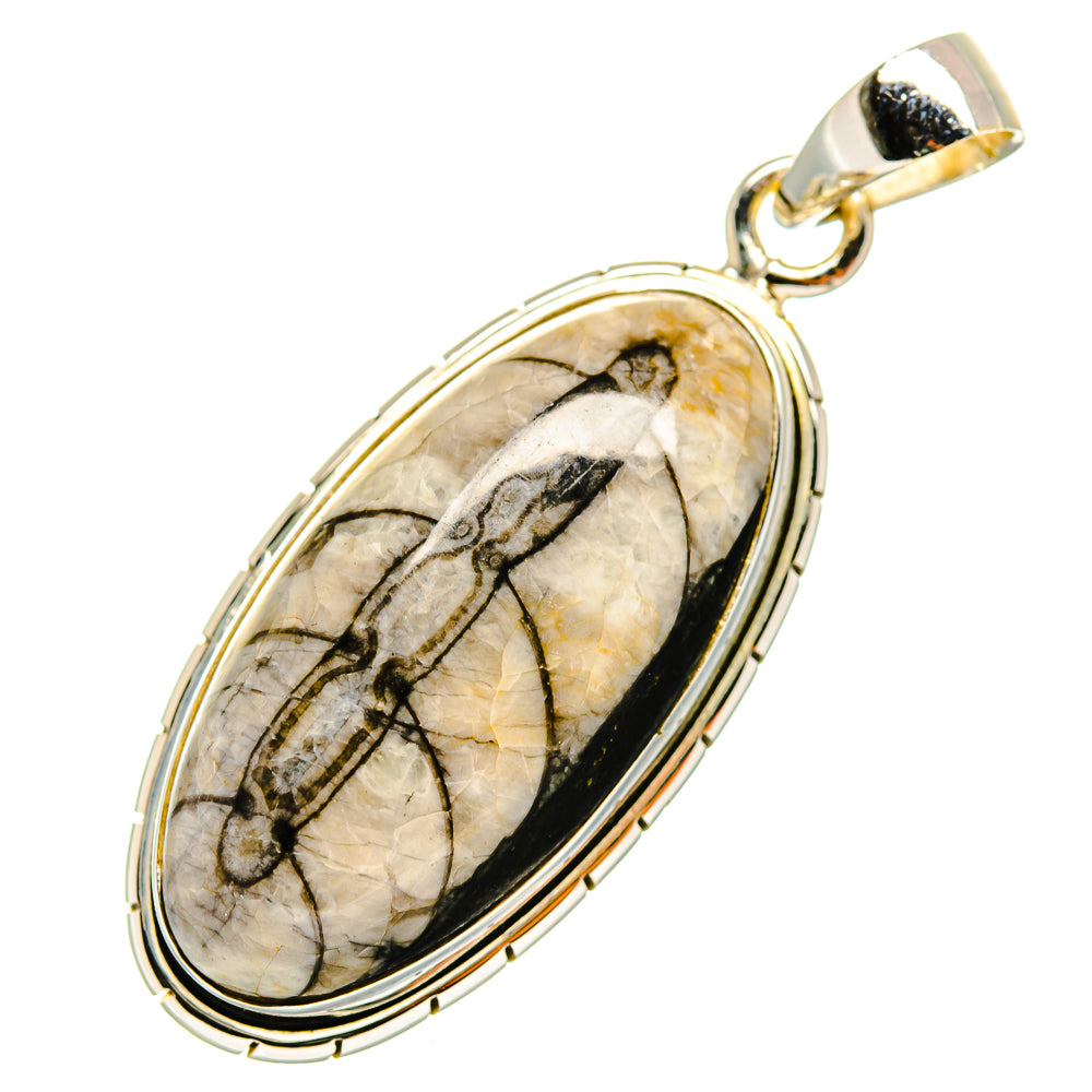 Orthoceras Fossil Pendants handcrafted by Anasilvercos - PD9642