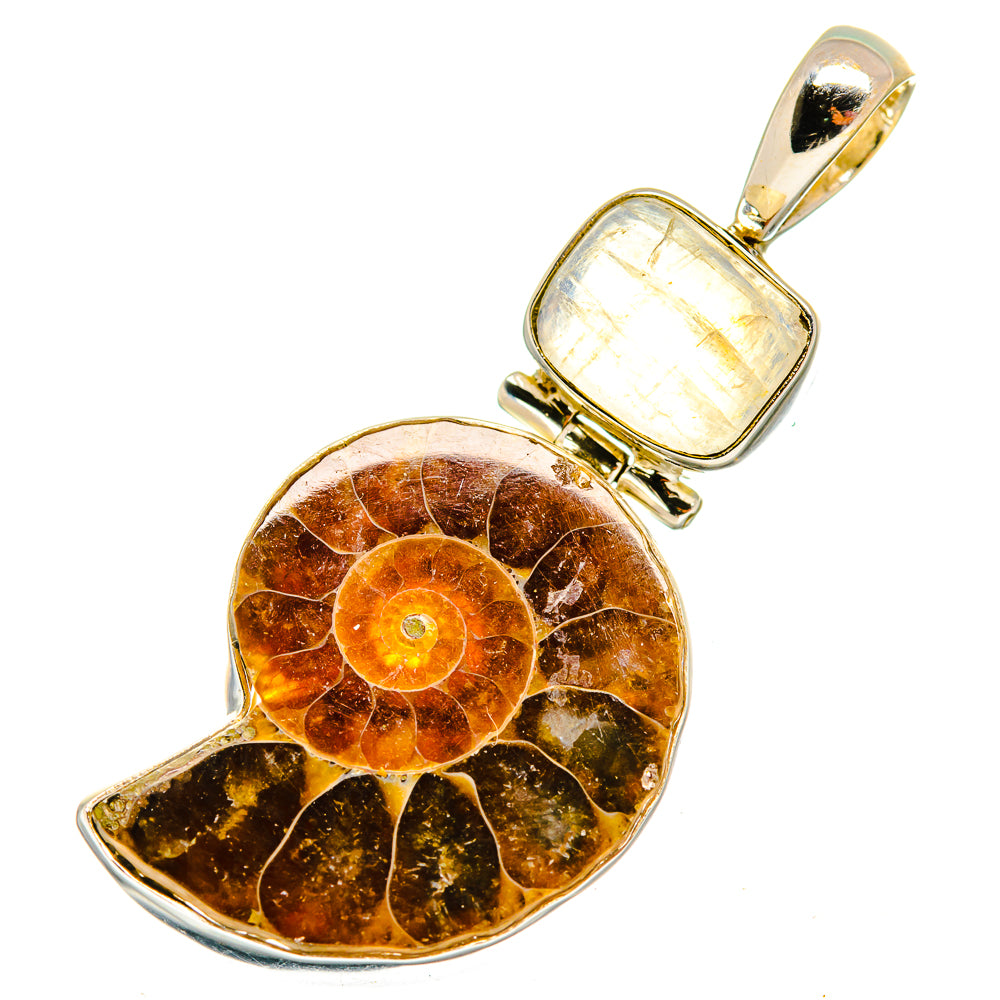 Ammonite Fossil Pendants handcrafted by Anasilvercos - PD9649