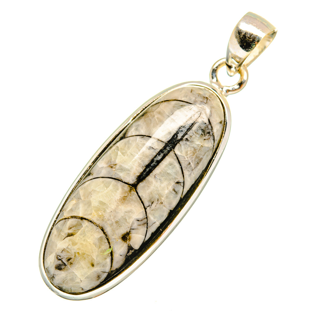 Orthoceras Fossil Pendants handcrafted by Anasilvercos - PD9826