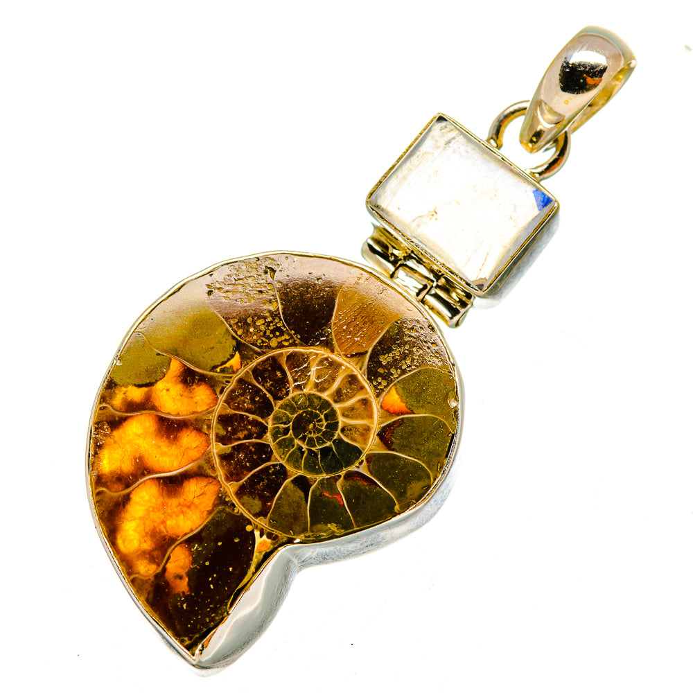 Ammonite Fossil Pendants handcrafted by Anasilvercos - PD9926
