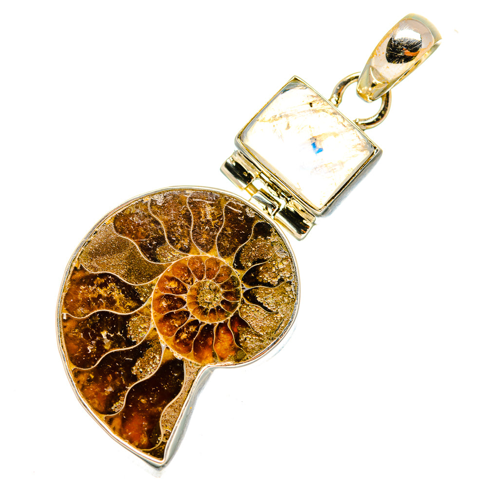 Ammonite Fossil Pendants handcrafted by Anasilvercos - PD9997