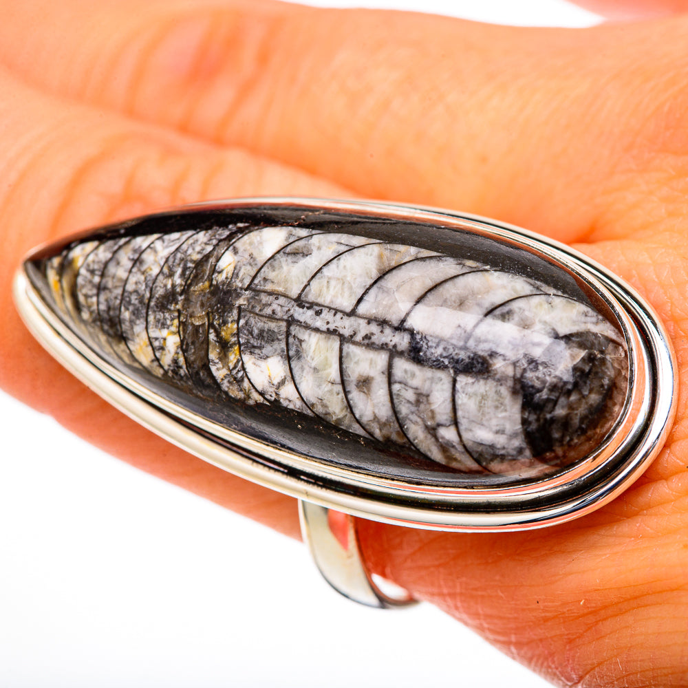 Orthoceras Fossil Rings handcrafted by Anasilvercos - RING101830