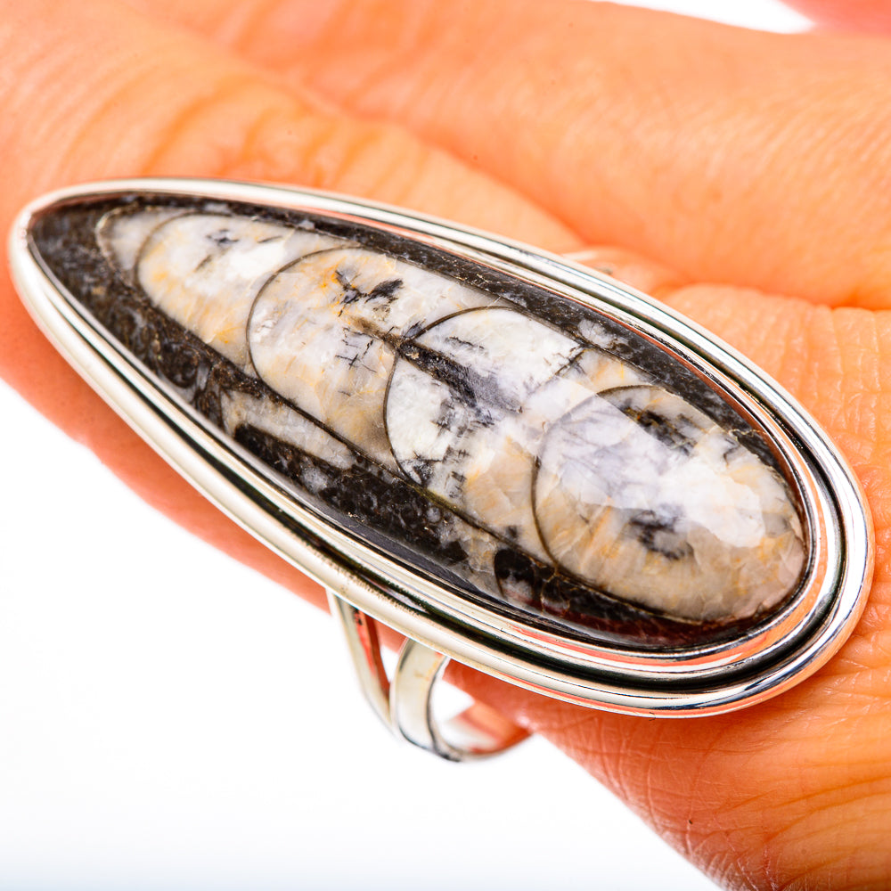 Orthoceras Fossil Rings handcrafted by Anasilvercos - RING102127