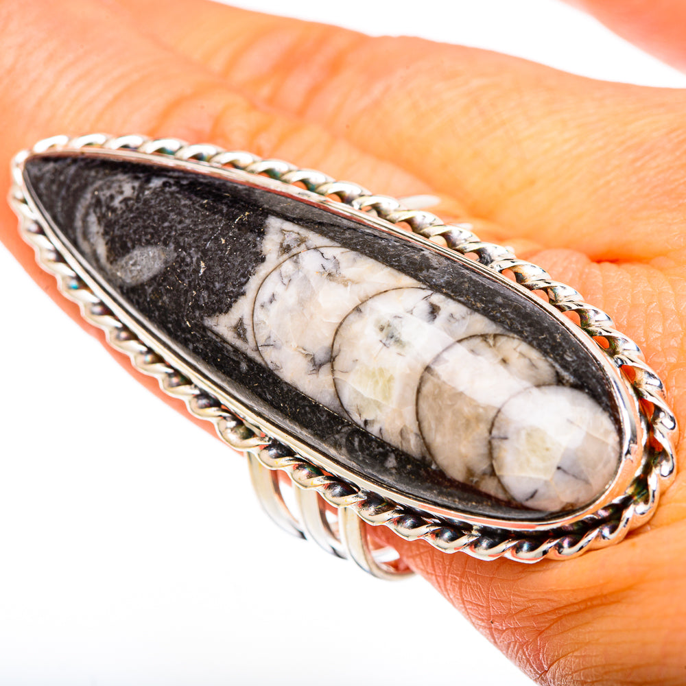 Orthoceras Fossil Rings handcrafted by Anasilvercos - RING102128