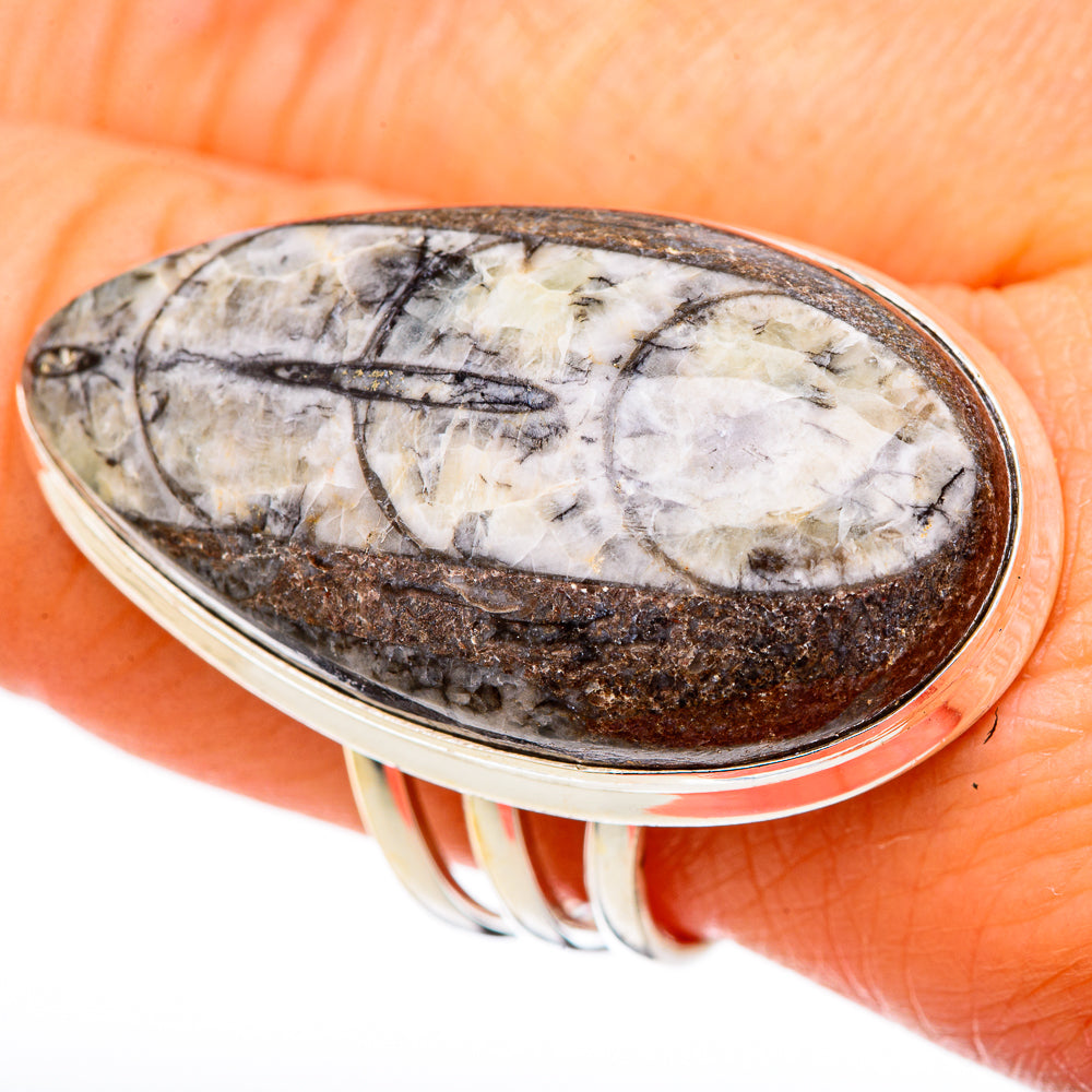 Orthoceras Fossil Rings handcrafted by Anasilvercos - RING102165