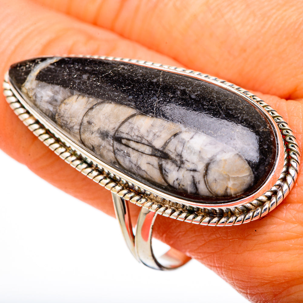 Orthoceras Fossil Rings handcrafted by Anasilvercos - RING102166