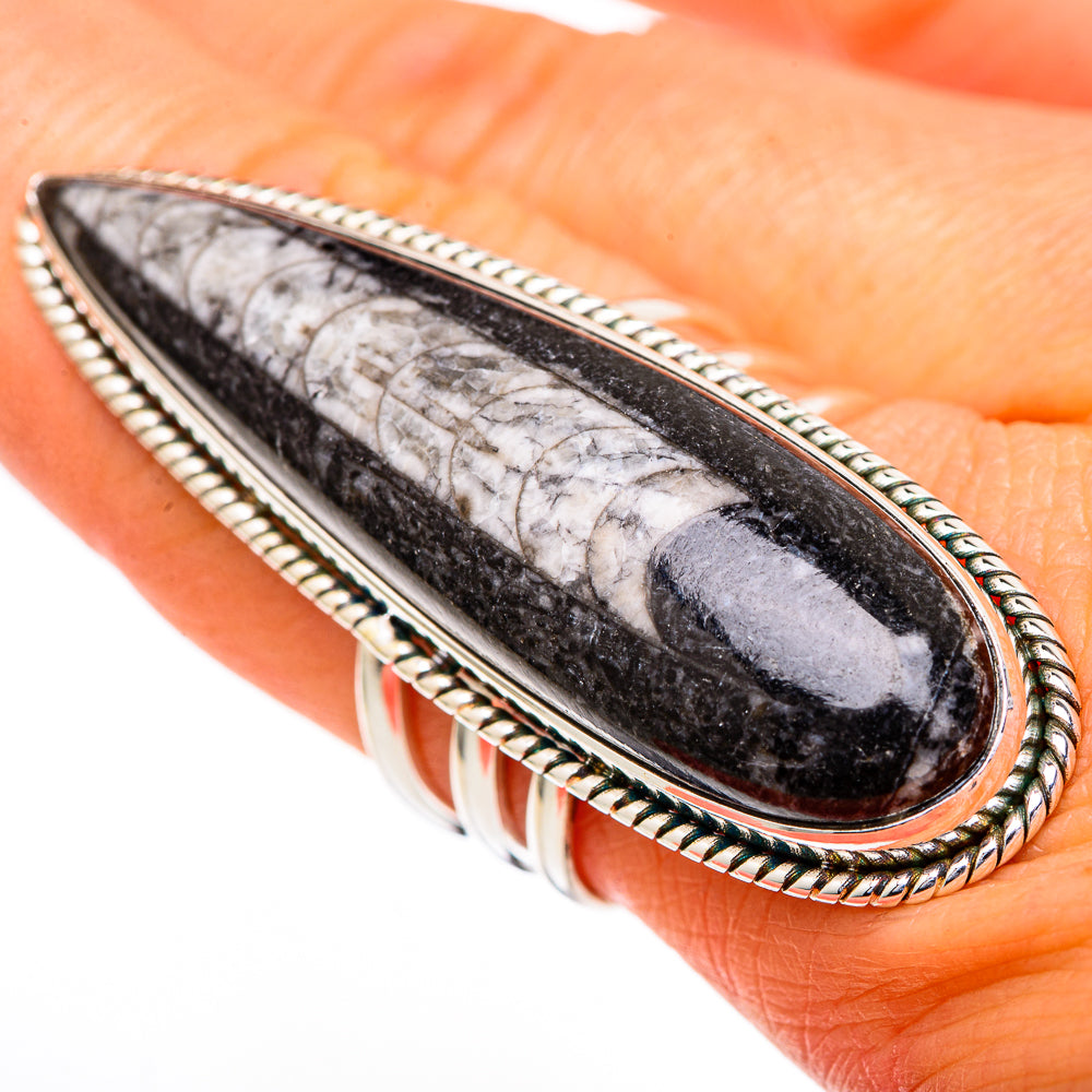 Orthoceras Fossil Rings handcrafted by Anasilvercos - RING102204