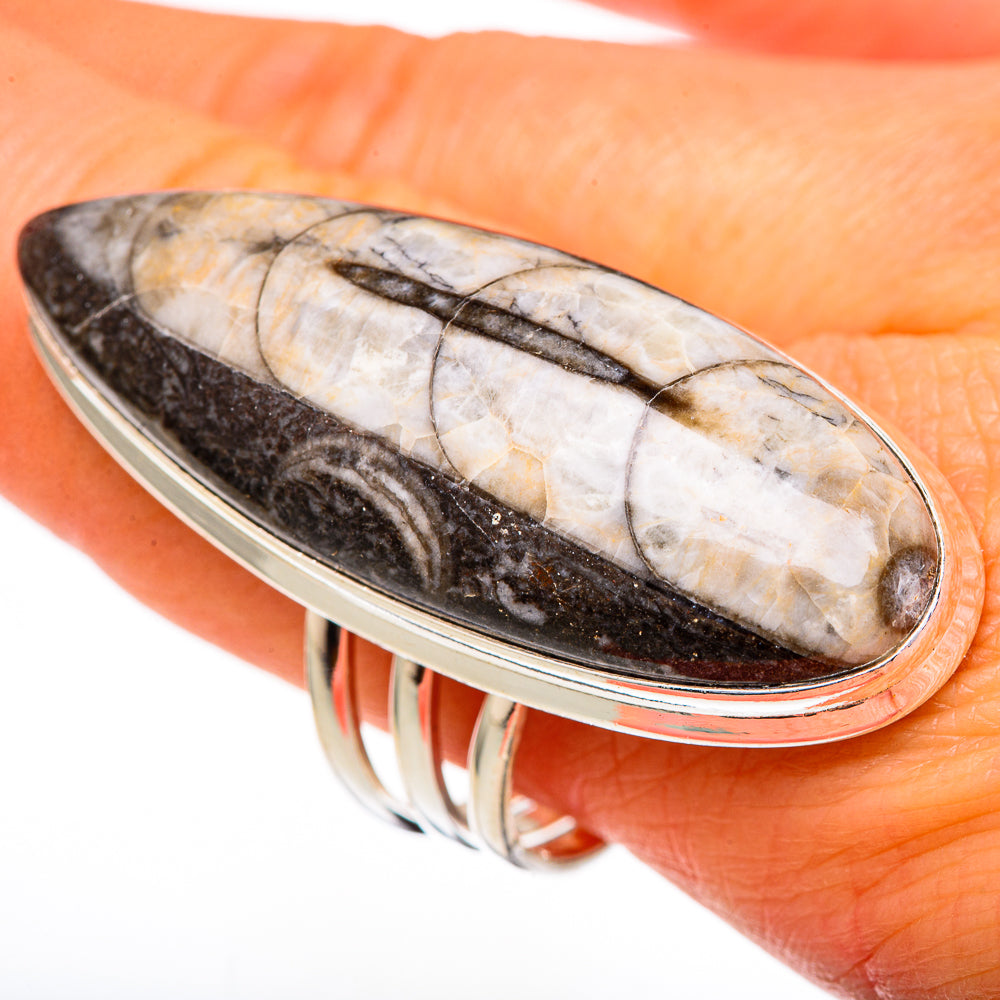 Orthoceras Fossil Rings handcrafted by Anasilvercos - RING102206