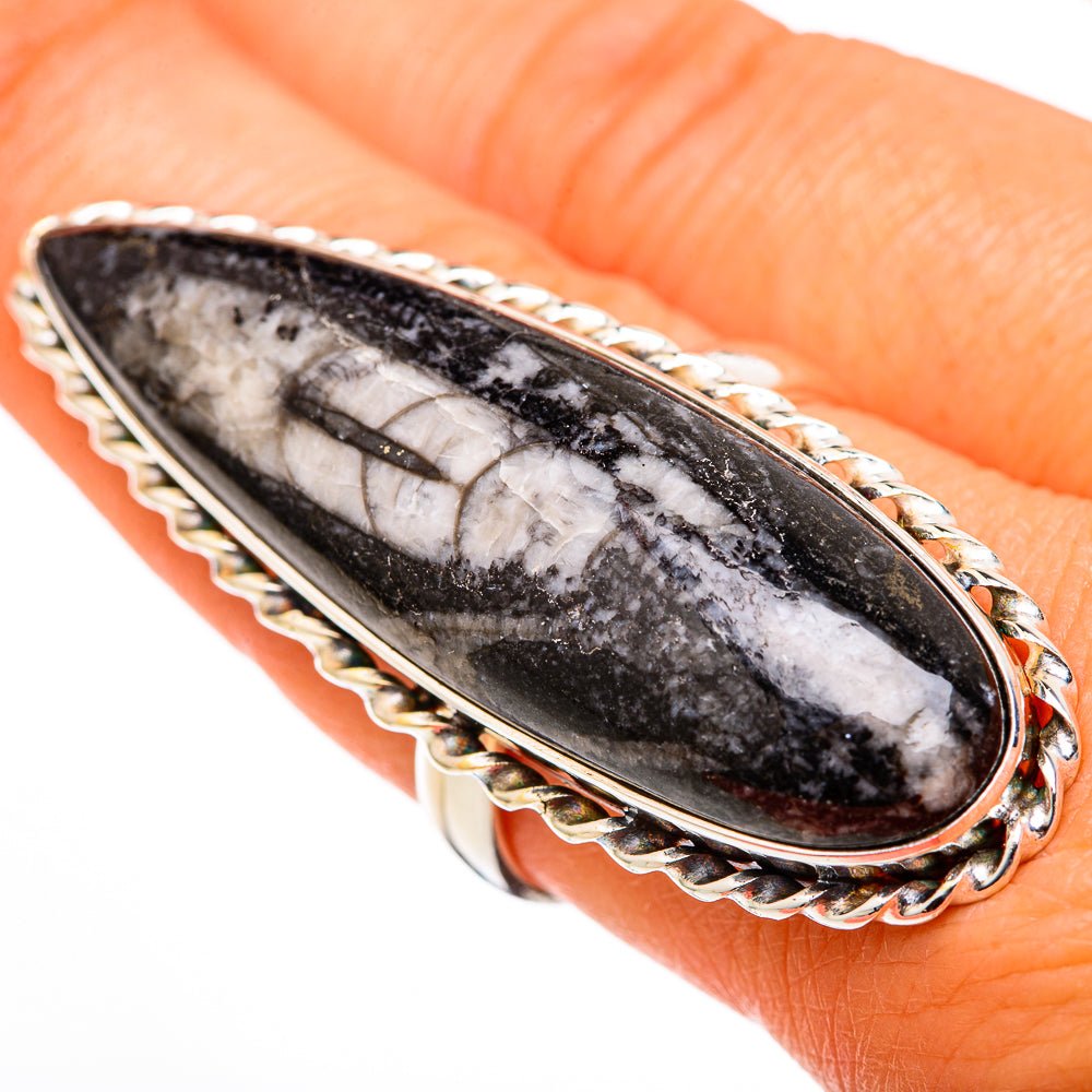 Orthoceras Fossil Rings handcrafted by Anasilvercos - RING102796
