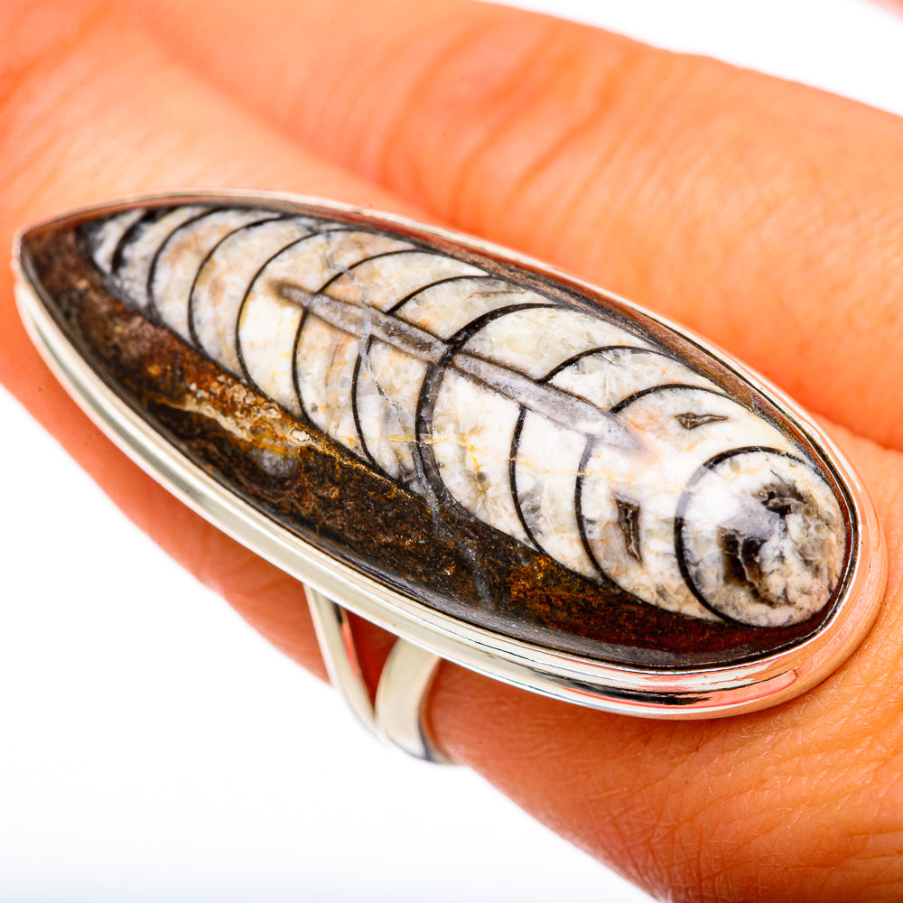 Orthoceras Fossil Rings handcrafted by Anasilvercos - RING103375