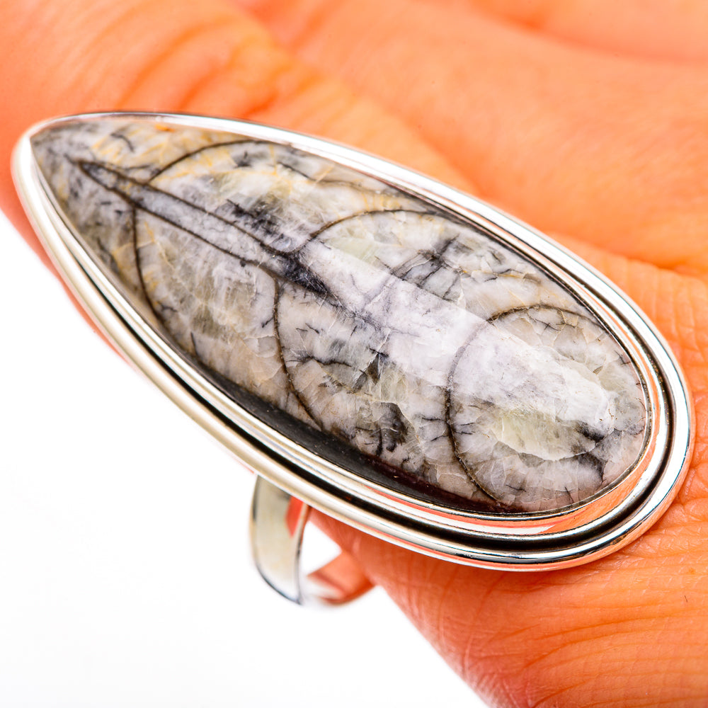 Orthoceras Fossil Rings handcrafted by Anasilvercos - RING103421