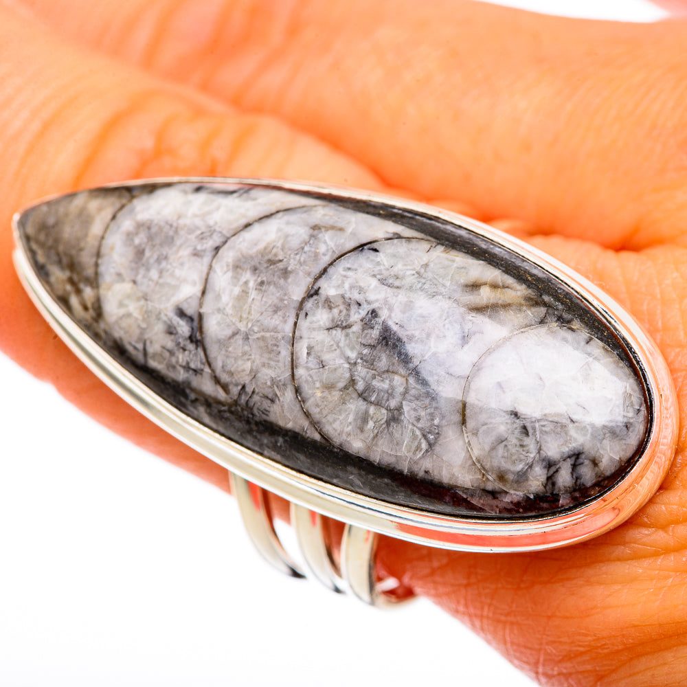 Orthoceras Fossil Rings handcrafted by Anasilvercos - RING103458