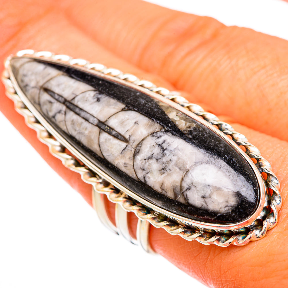 Orthoceras Fossil Rings handcrafted by Anasilvercos - RING103929
