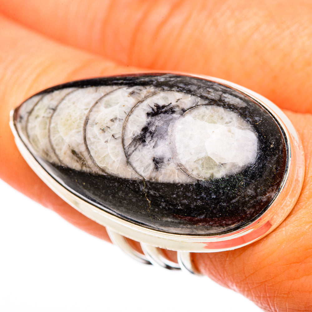 Orthoceras Fossil Rings handcrafted by Anasilvercos - RING104008