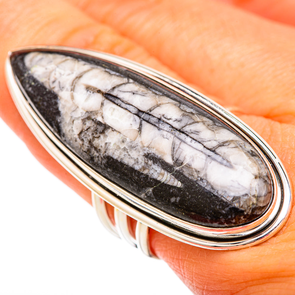 Orthoceras Fossil Rings handcrafted by Anasilvercos - RING104059