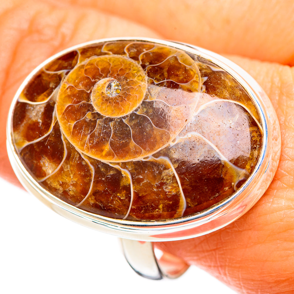 Ammonite Fossil Rings handcrafted by Anasilvercos - RING108842