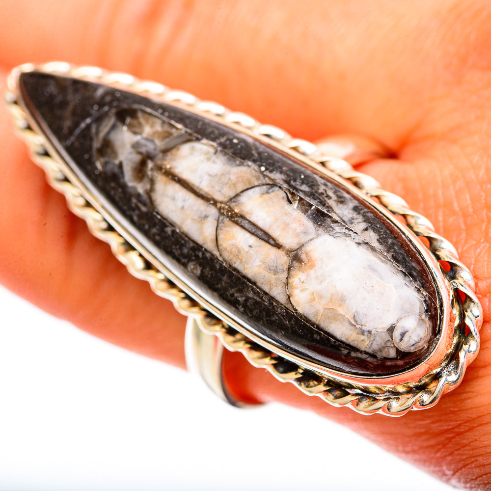 Orthoceras Fossil Rings handcrafted by Anasilvercos - RING108889