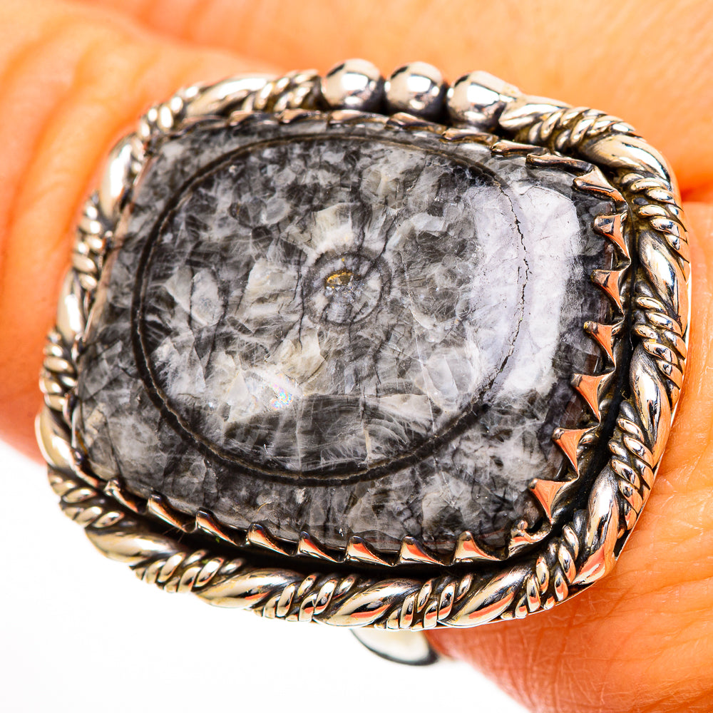 Moroccan Goniatite Fossil Rings handcrafted by Anasilvercos - RING110905