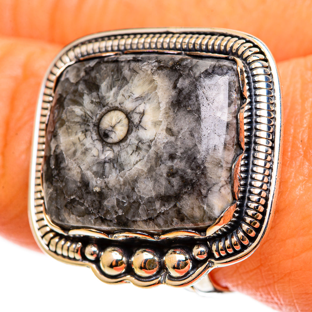 Moroccan Goniatite Fossil Rings handcrafted by Anasilvercos - RING112477