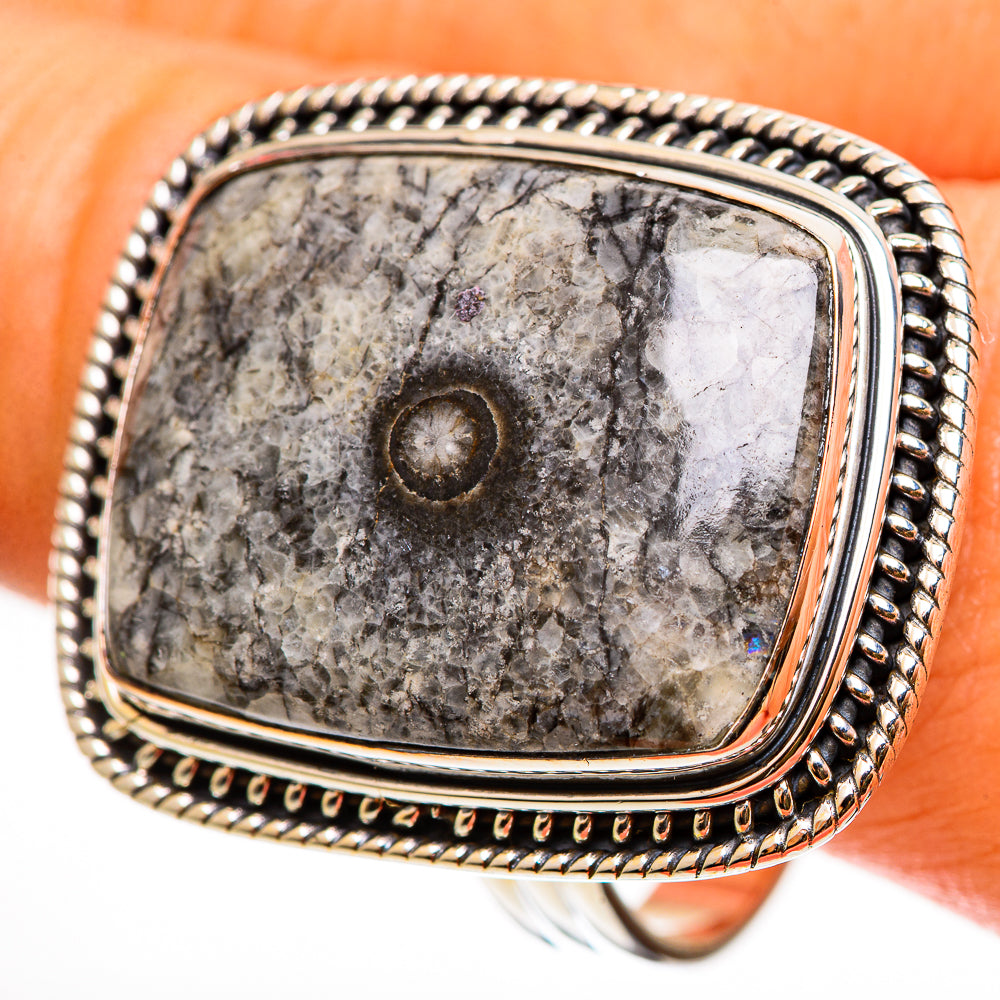 Moroccan Goniatite Fossil Rings handcrafted by Anasilvercos - RING112516