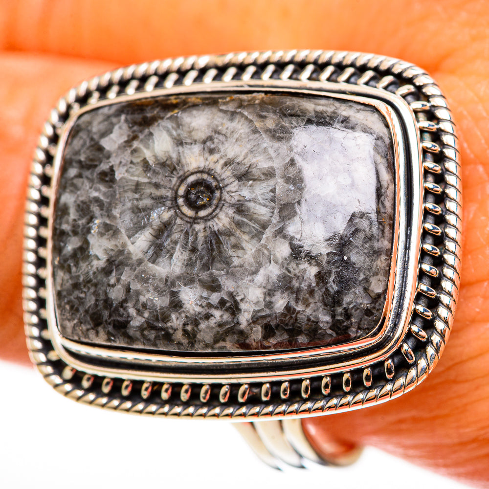 Moroccan Goniatite Fossil Rings handcrafted by Anasilvercos - RING112899