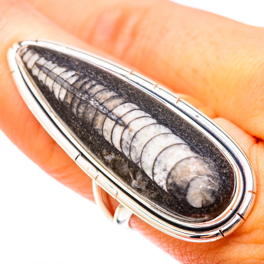 Orthoceras Fossil Rings handcrafted by Anasilvercos - RING119715