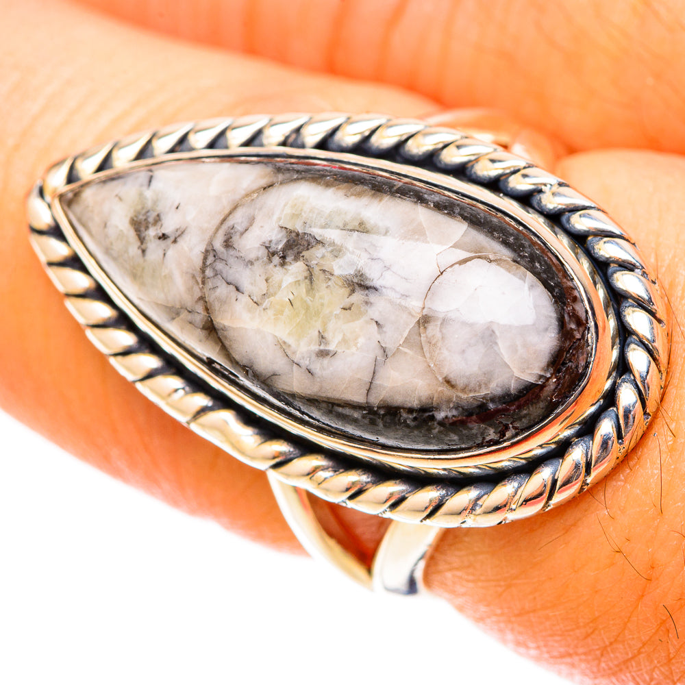 Orthoceras Fossil Rings handcrafted by Anasilvercos - RING119870