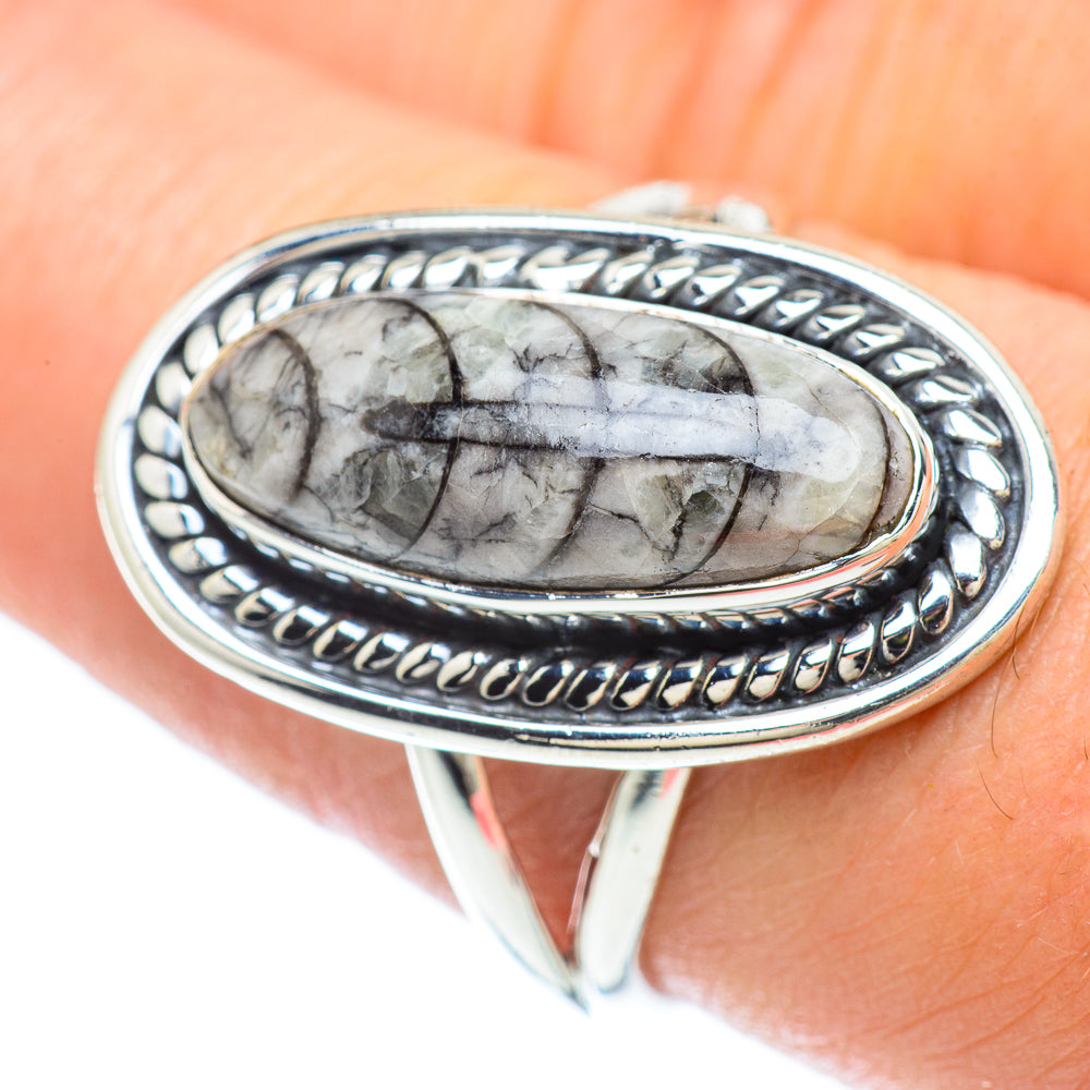 Orthoceras Fossil Rings handcrafted by Anasilvercos - RING56523