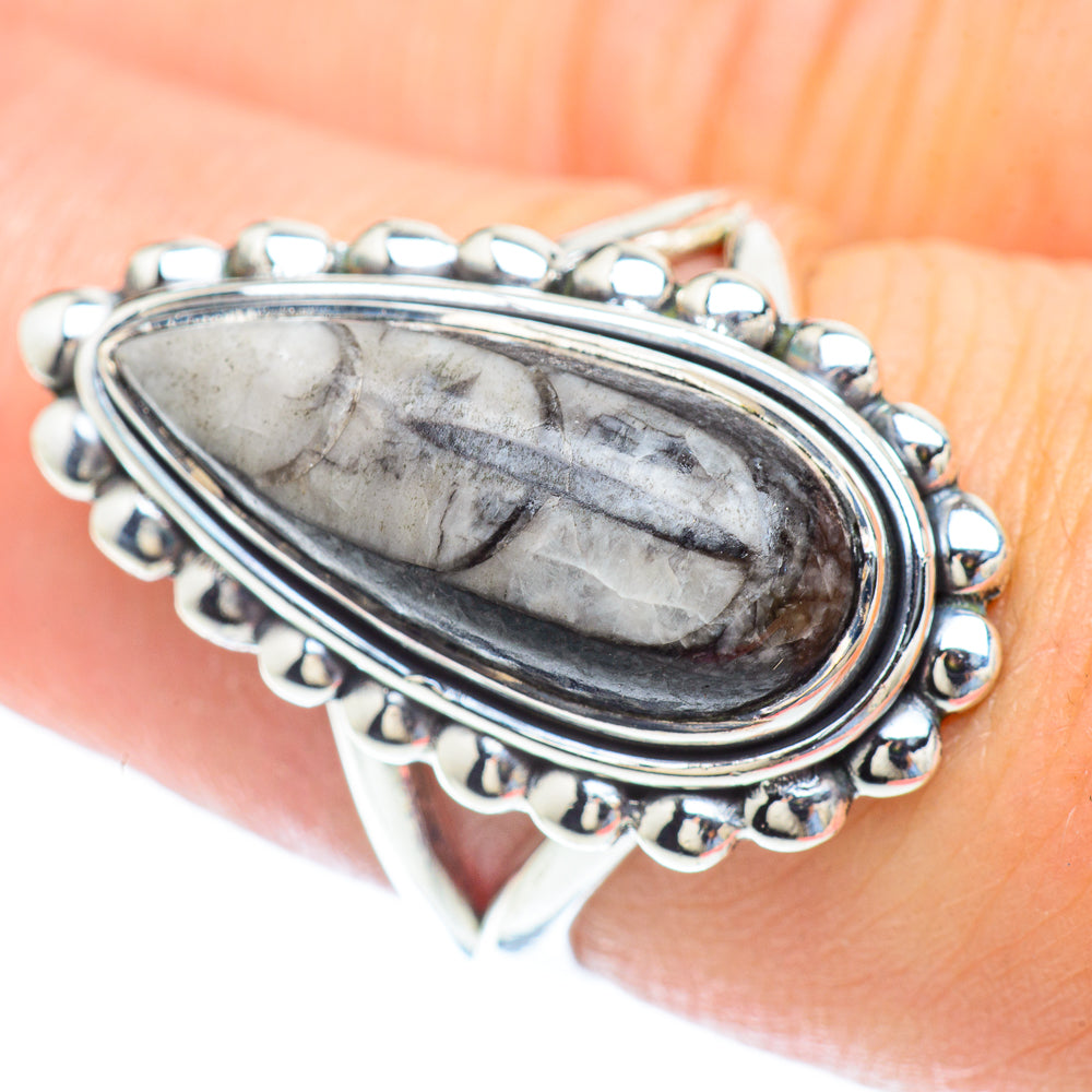 Orthoceras Fossil Rings handcrafted by Anasilvercos - RING56890