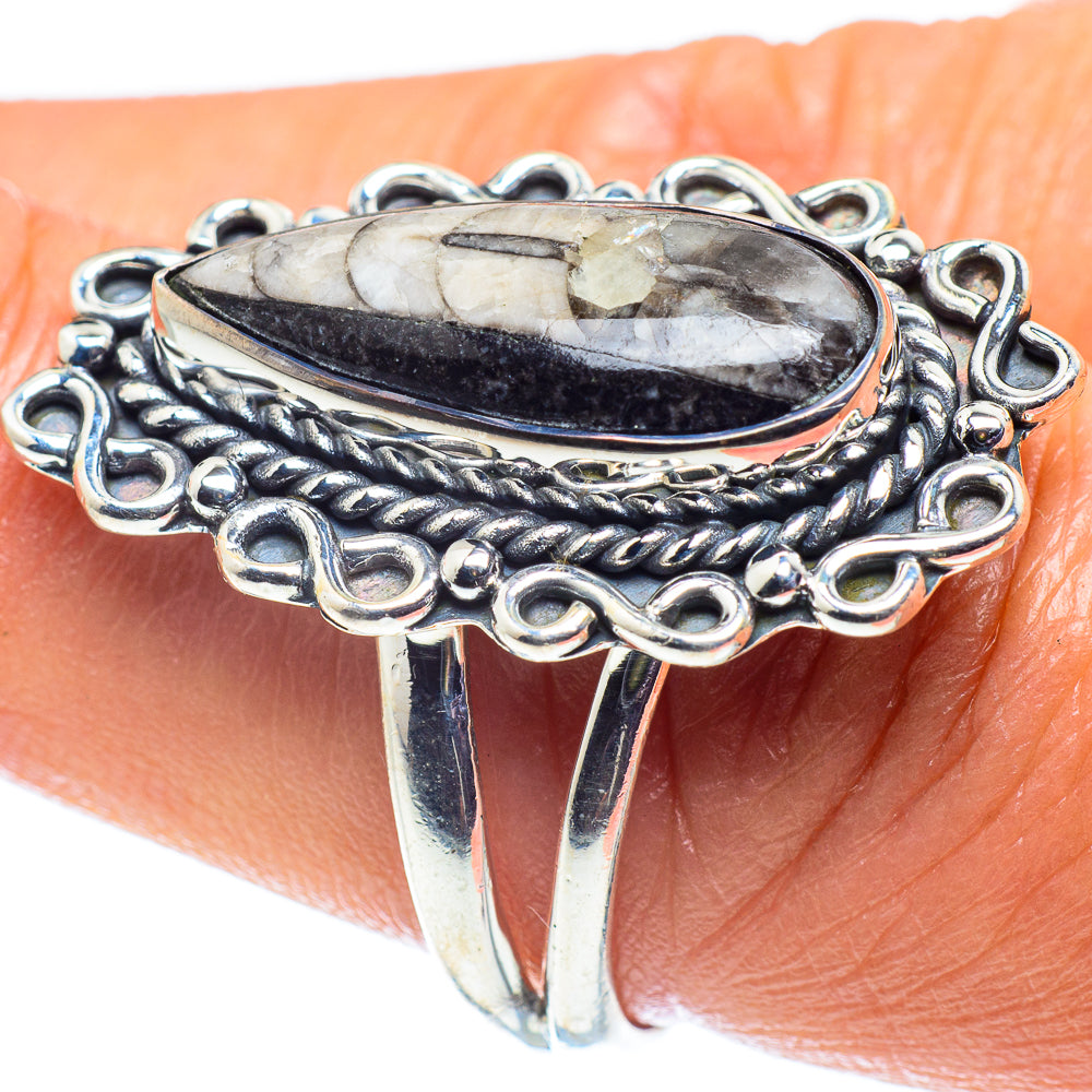 Orthoceras Fossil Rings handcrafted by Anasilvercos - RING59639