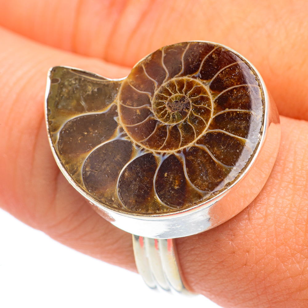 Ammonite Fossil Rings handcrafted by Anasilvercos - RING66924