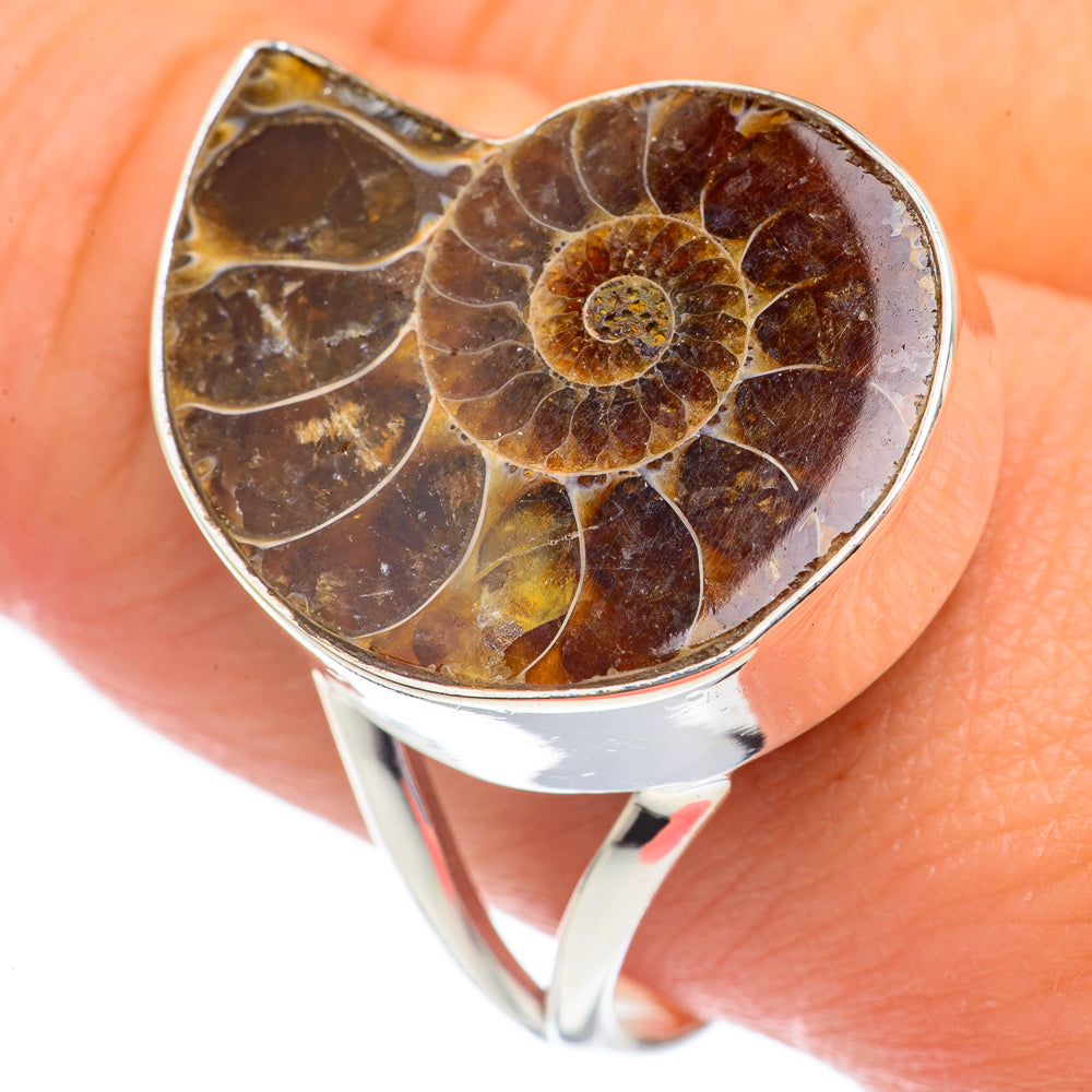 Ammonite Fossil Rings handcrafted by Anasilvercos - RING68717