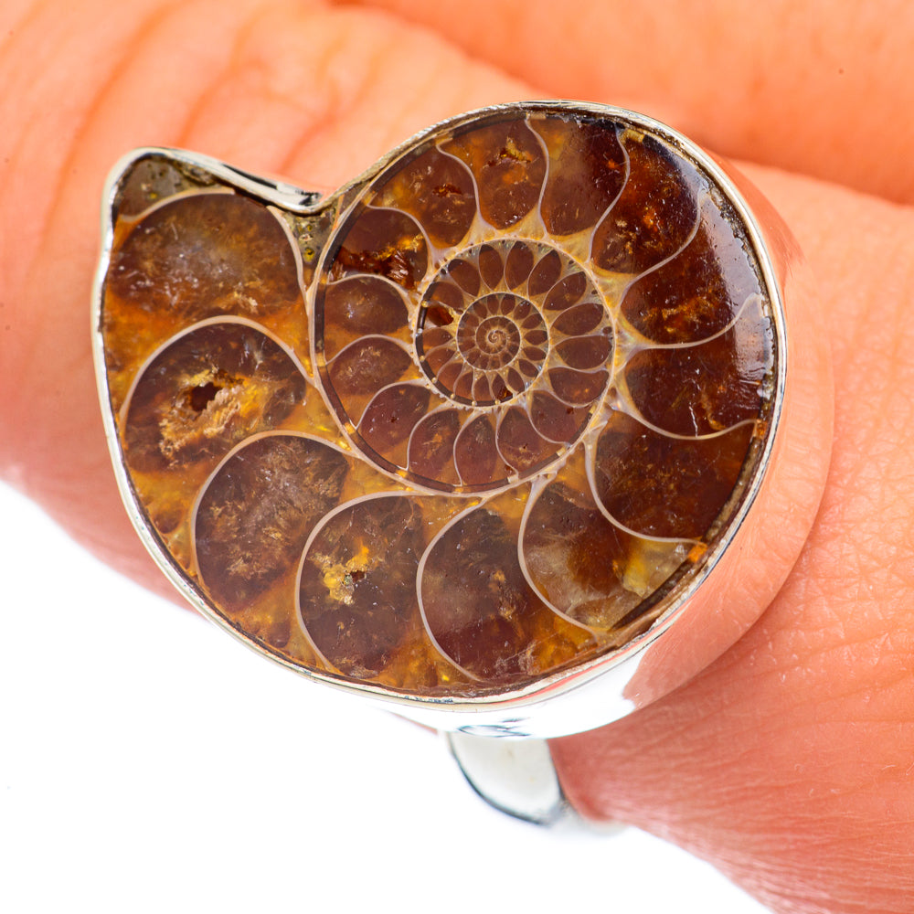 Ammonite Fossil Rings handcrafted by Anasilvercos - RING68751