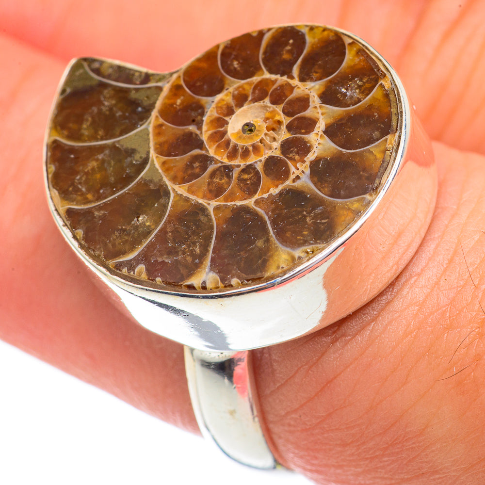 Ammonite Fossil Rings handcrafted by Anasilvercos - RING69307