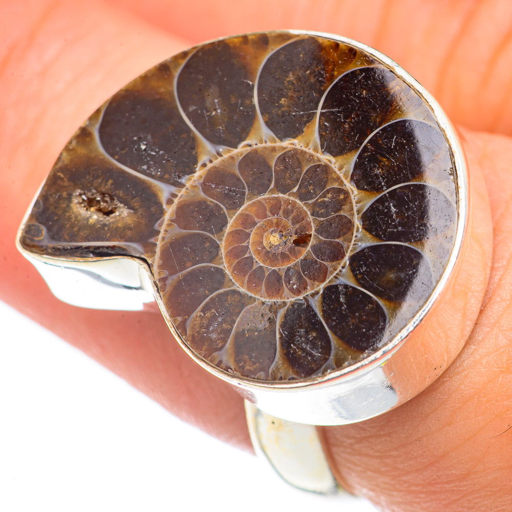 Ammonite Fossil Rings handcrafted by Anasilvercos - RING70129