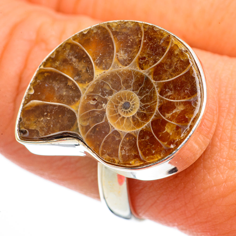 Ammonite Fossil Rings handcrafted by Anasilvercos - RING70663