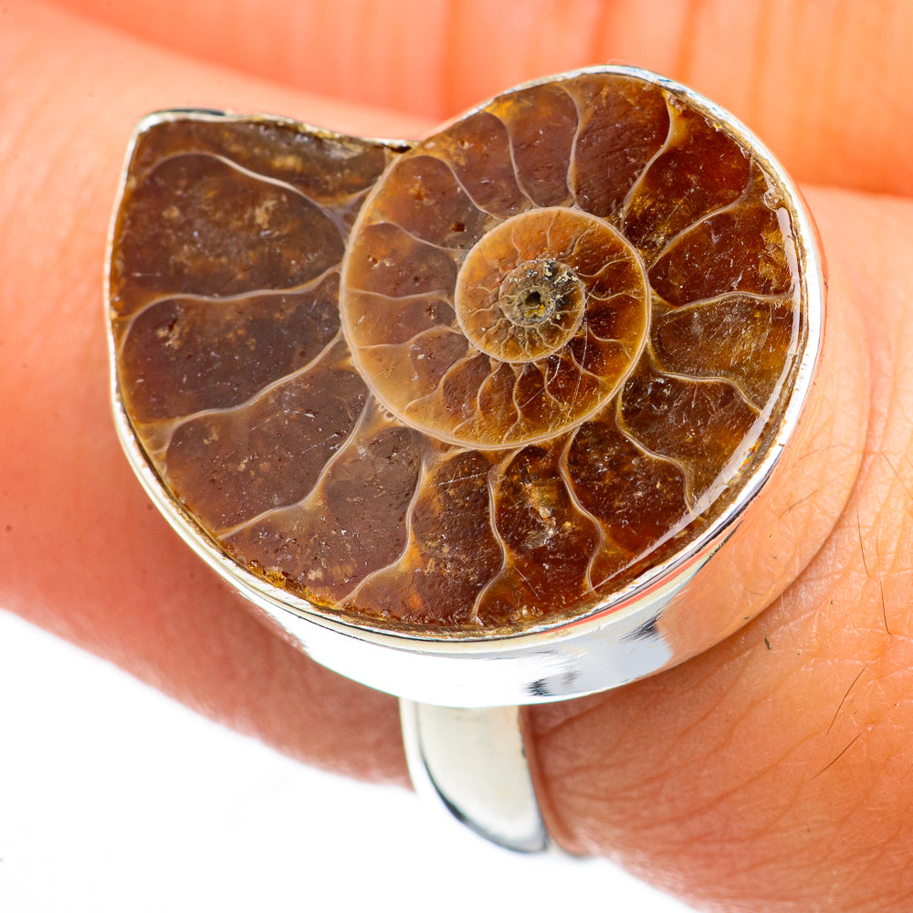 Ammonite Fossil Rings handcrafted by Anasilvercos - RING70809