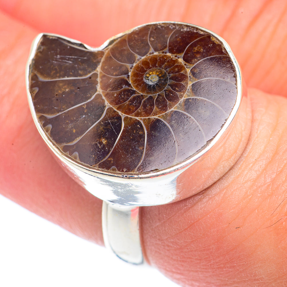 Ammonite Fossil Rings handcrafted by Anasilvercos - RING71239