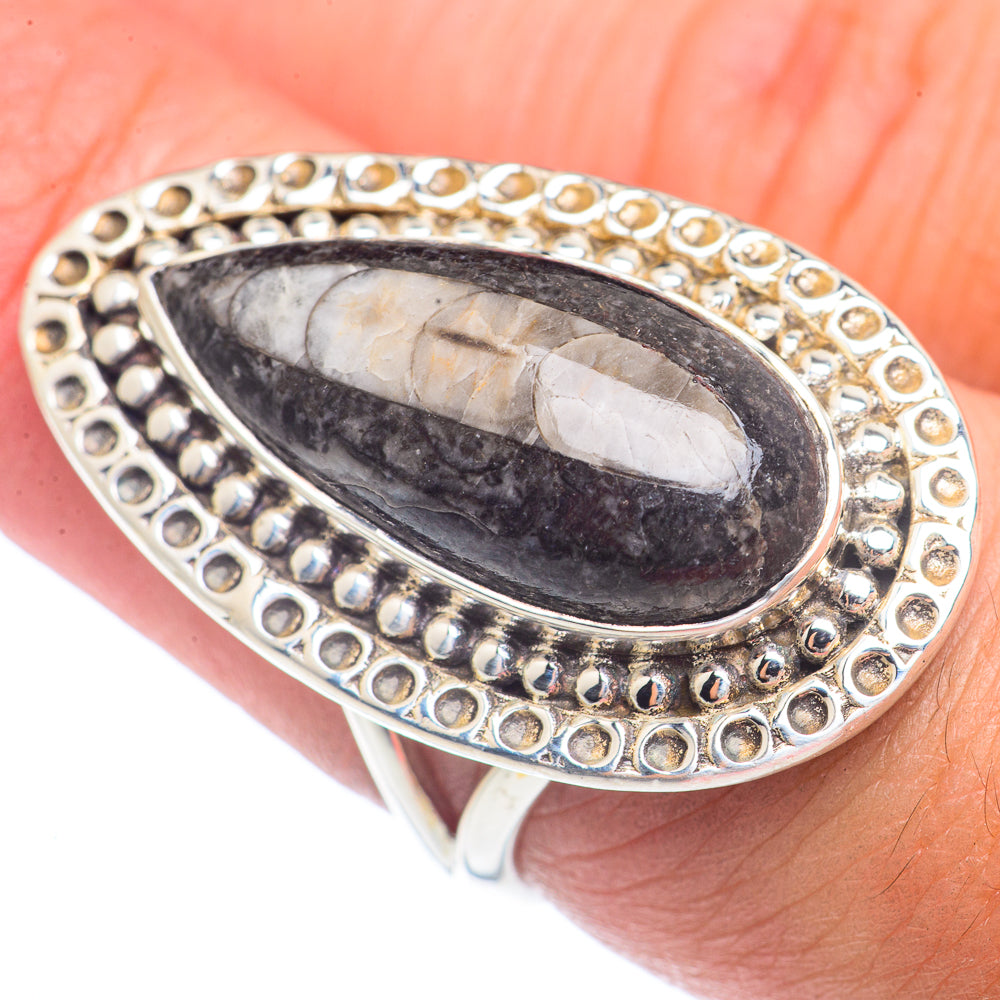 Orthoceras Fossil Rings handcrafted by Anasilvercos - RING71794