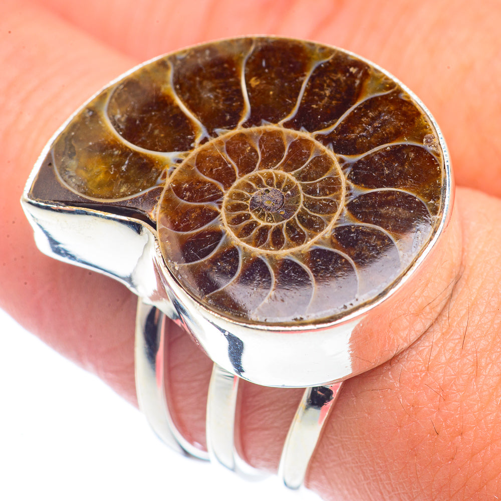 Ammonite Fossil Rings handcrafted by Anasilvercos - RING72098