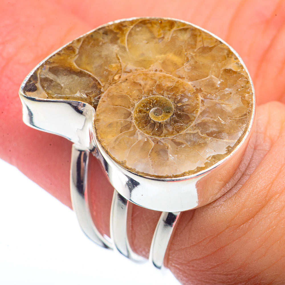 Ammonite Fossil Rings handcrafted by Anasilvercos - RING72148