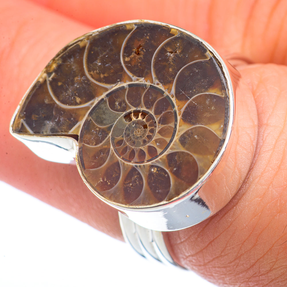 Ammonite Fossil Rings handcrafted by Anasilvercos - RING72195