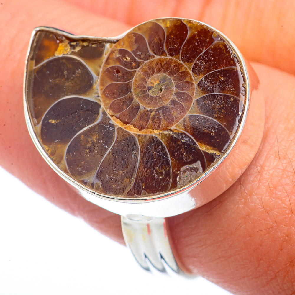 Ammonite Fossil Rings handcrafted by Anasilvercos - RING72235