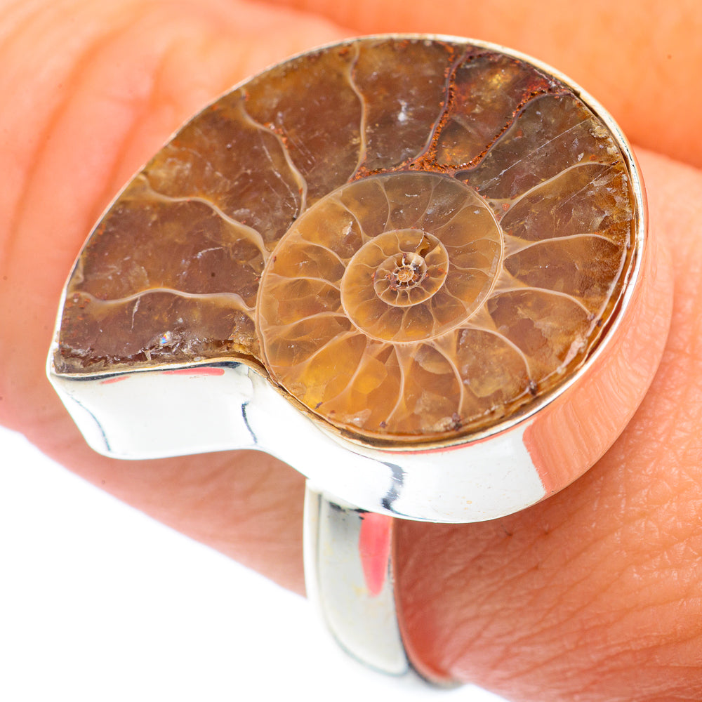 Ammonite Fossil Rings handcrafted by Anasilvercos - RING72566