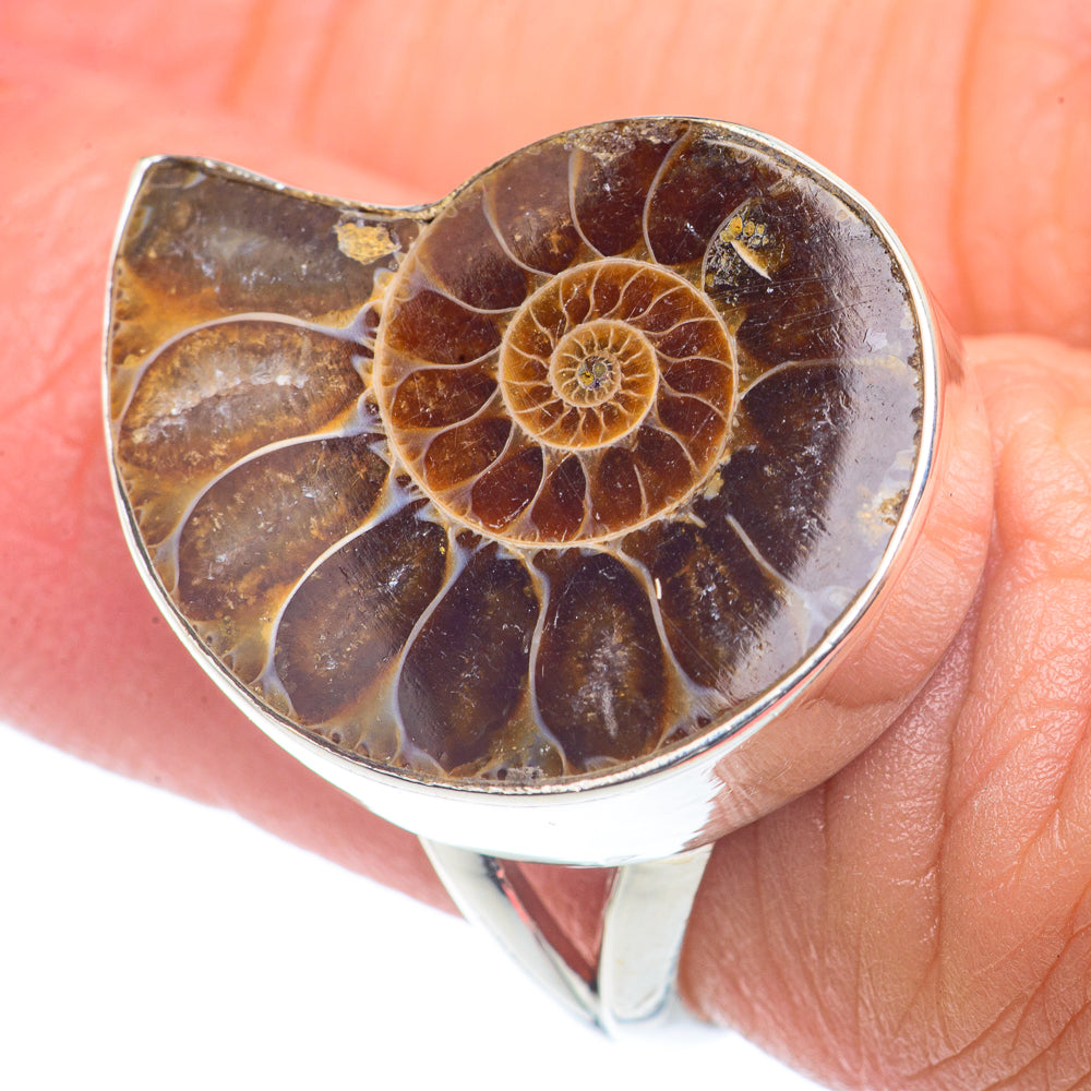 Ammonite Fossil Rings handcrafted by Anasilvercos - RING72684