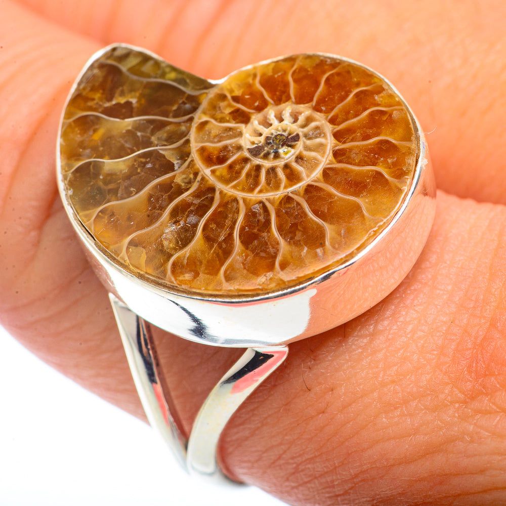 Ammonite Fossil Rings handcrafted by Anasilvercos - RING72726