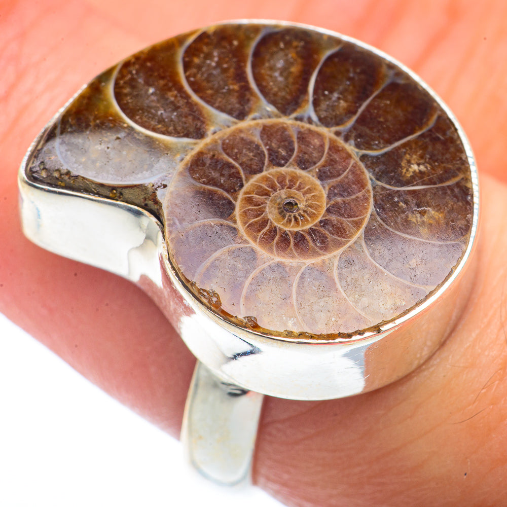 Ammonite Fossil Rings handcrafted by Anasilvercos - RING72900