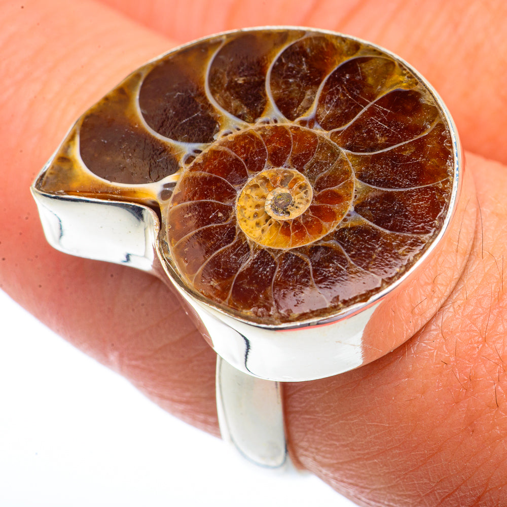 Ammonite Fossil Rings handcrafted by Anasilvercos - RING73584