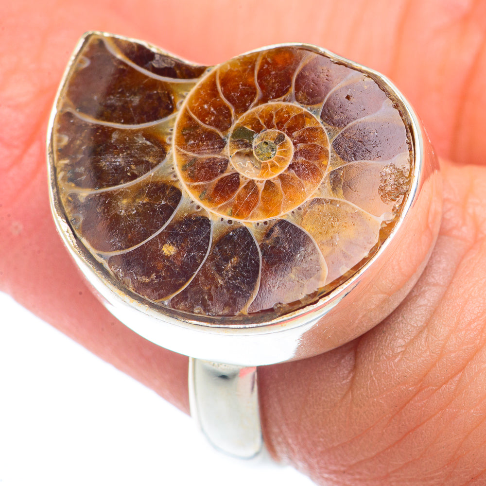 Ammonite Fossil Rings handcrafted by Anasilvercos - RING73721