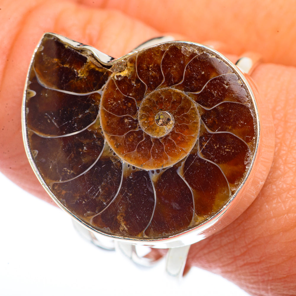 Ammonite Fossil Rings handcrafted by Anasilvercos - RING73764
